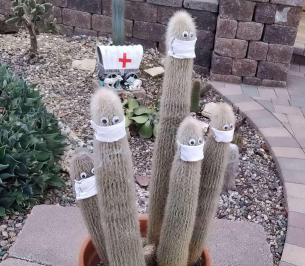 The furry family