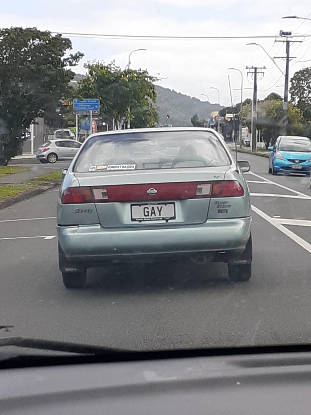 The gayest licence plate Iv ever seen