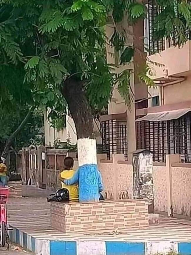 The Giving Tree live action adaptation