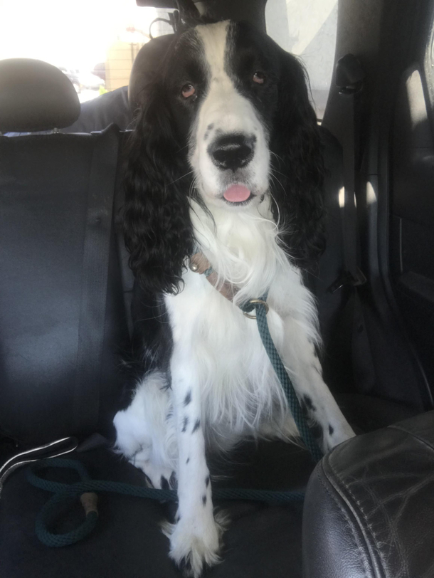 The goodest stoned boy after surgery begging for French fries 