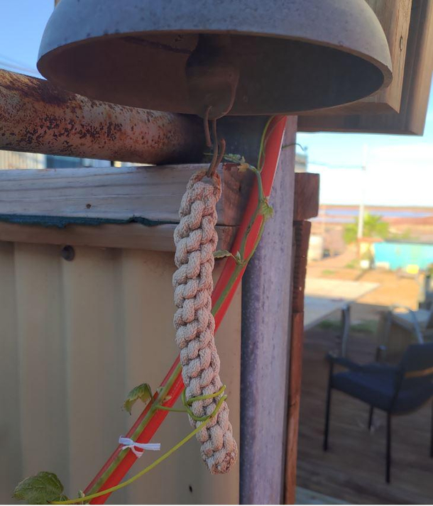 The Grapevine had had ENOUGH of that Bloody Bell Ringing in the Wind