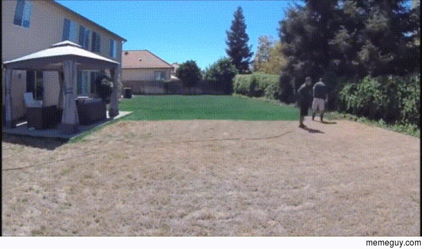 The grass dyed