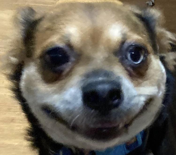 The grin
