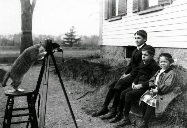 The group shot  location unknown