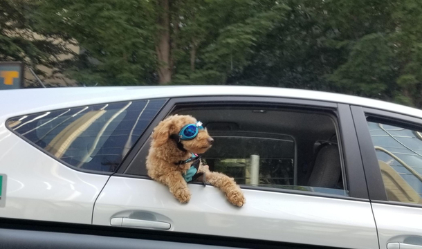 The guy my GF tells me not to worry about