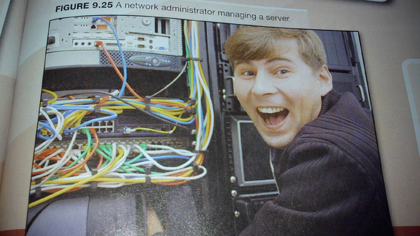 The happiest job