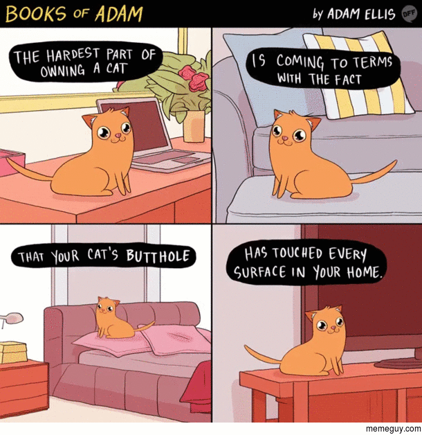 The hardest part of owning a cat