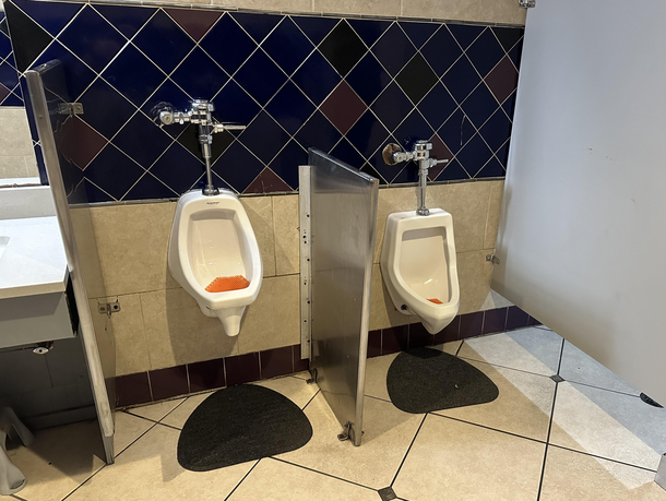 The height of this urinal divider