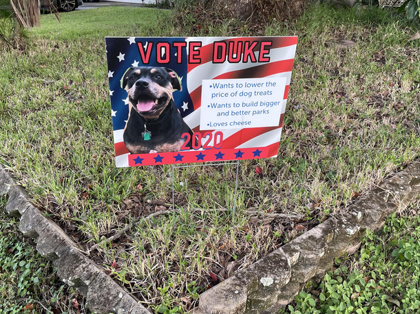 The hero we need