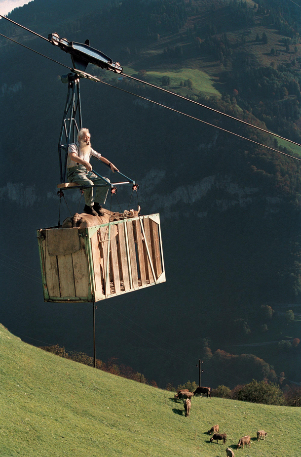 The hills are alive and the steaks are high in the little known film The Sound of Moo-sic