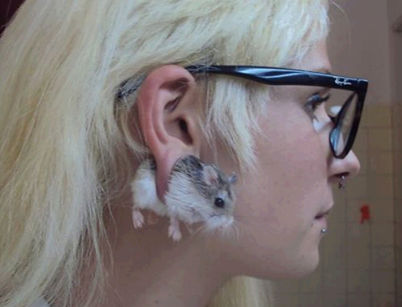The hipster has reached a whole new level