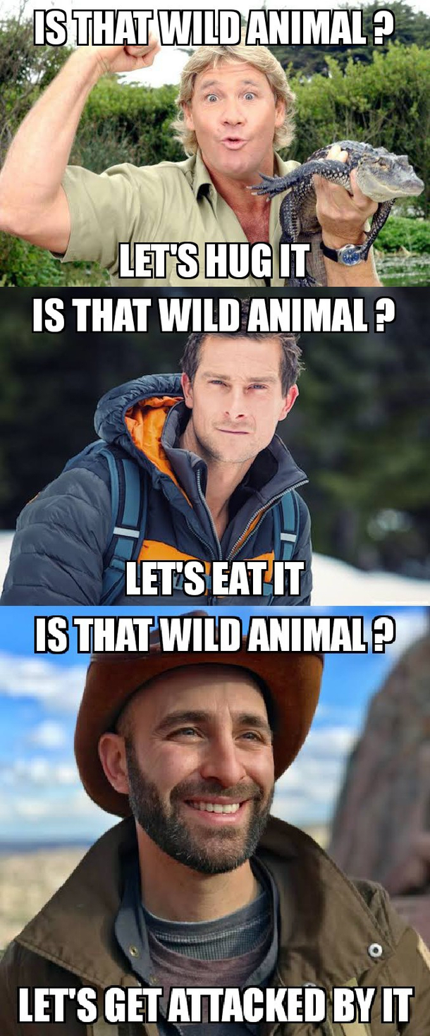The holy Trinity of animal kingdom