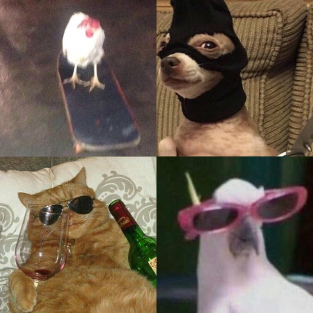 The  horsemen of the apocalypse