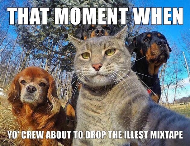 The illest