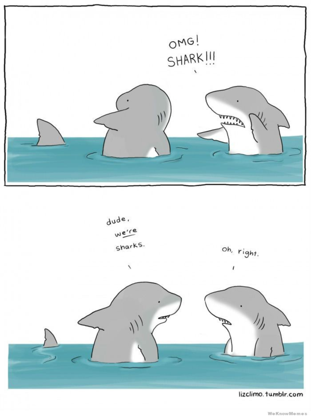 the incredible world of liz climo