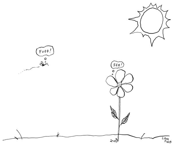 the insect-flower relationship - Liana Finck New Yorker cartoon
