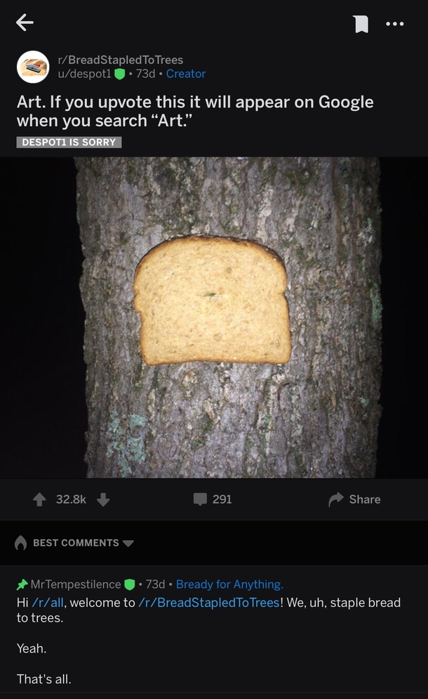 The internet