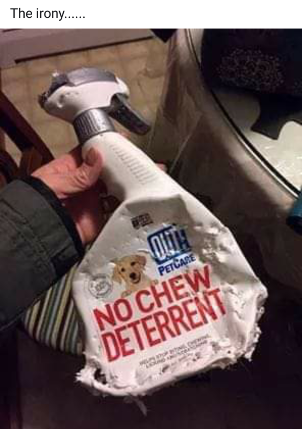 The irony