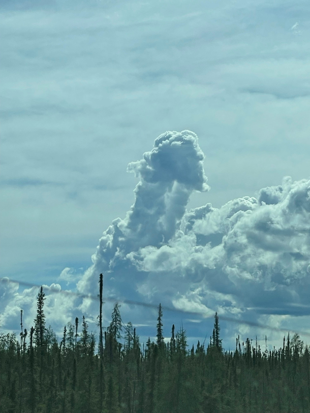 The James Webb telescope might have some cool images but here is a penis cloud