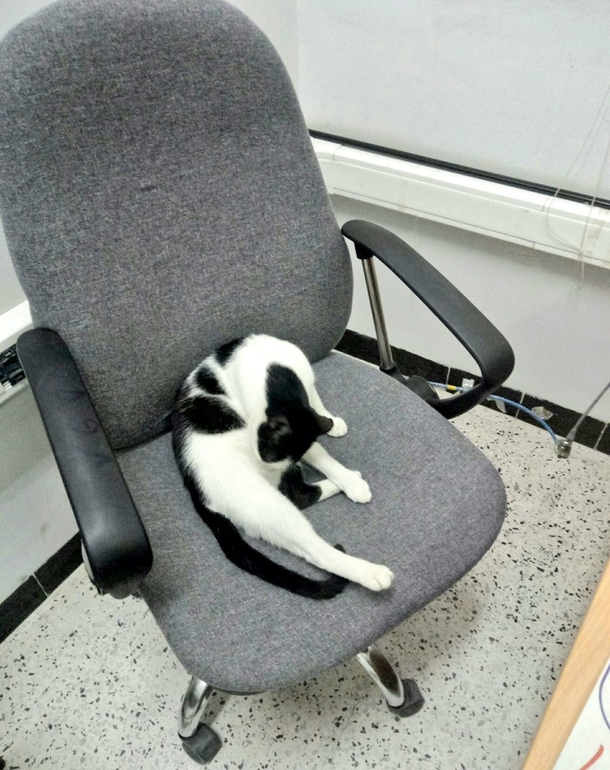 The job markets very competitive these days I left the office only for  minutes and they already replaced me
