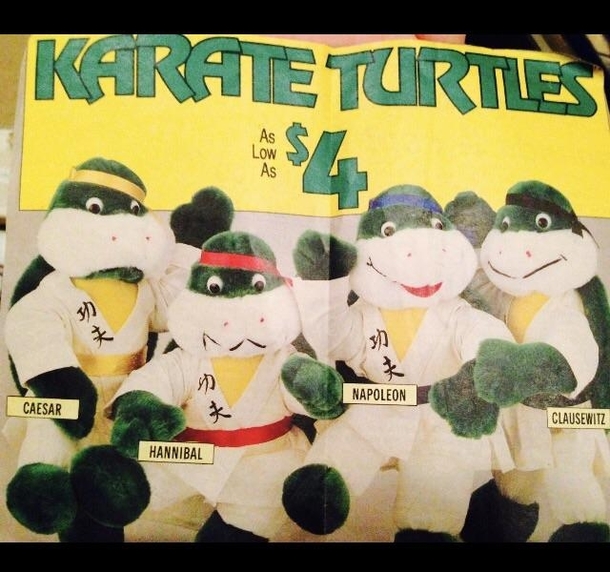 The Karate Turtles Caesar Hannibal Napoleon and Clausewitz
