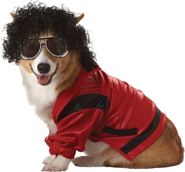 The King of Pup