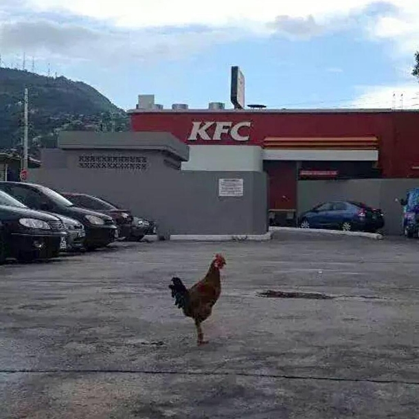 The Last Stand