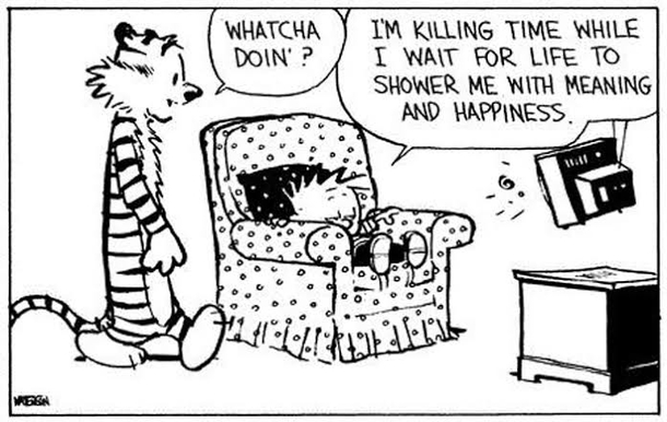 The life of a Redditor