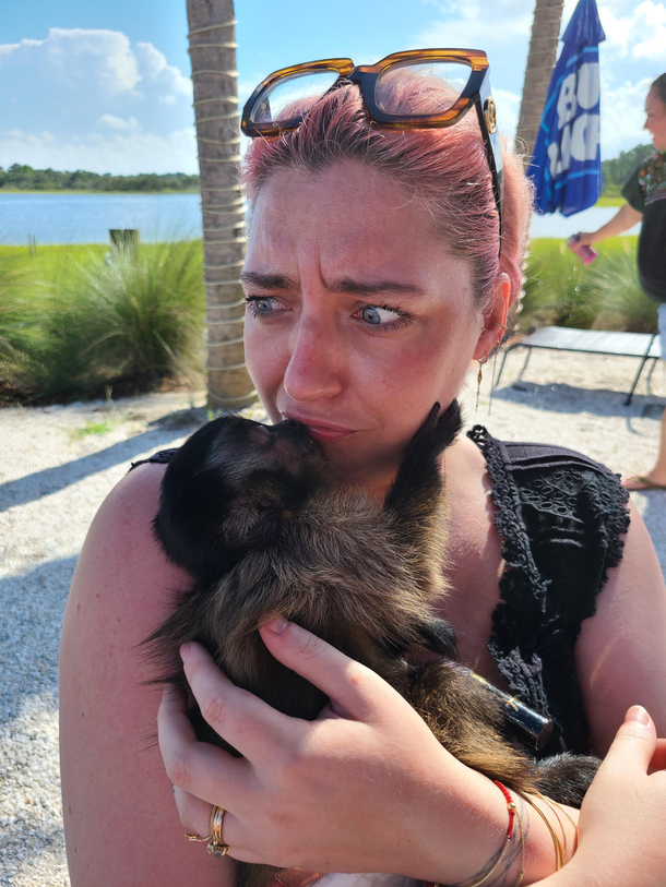 The local restaurant monkey and my wife meet