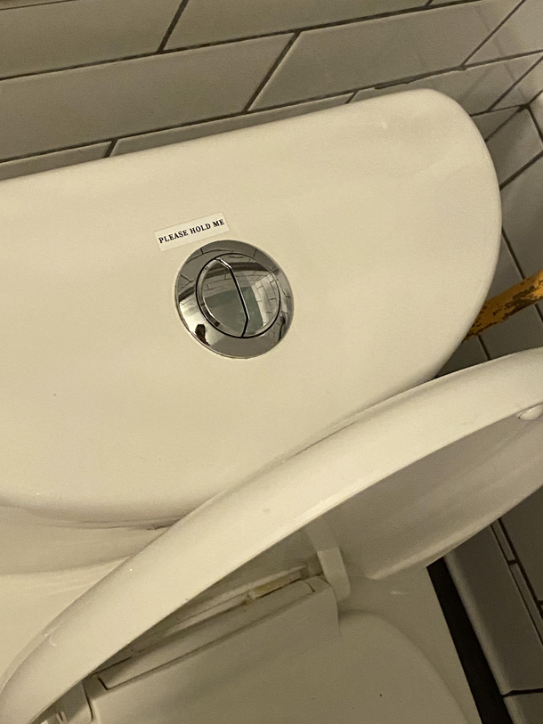 The lonely toilet