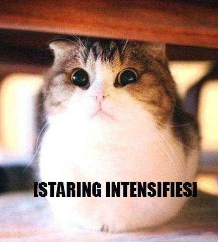 The look I give when people say something stupid