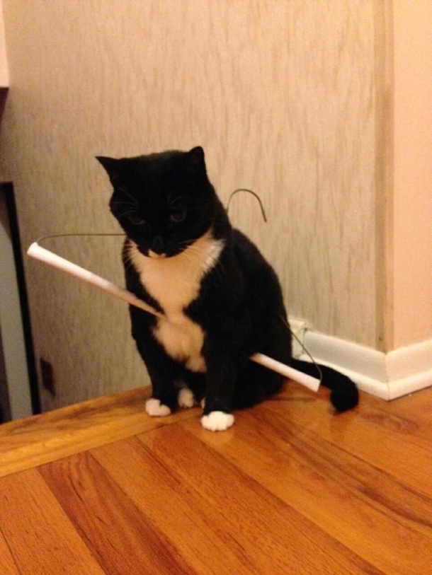 The look of defeat