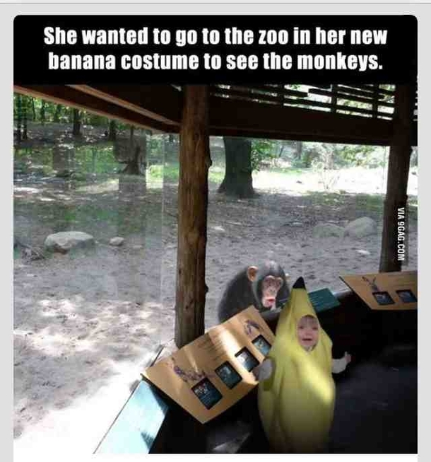 the look on his face