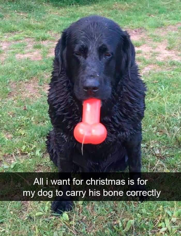 The look on his face Can you be serious for a moment