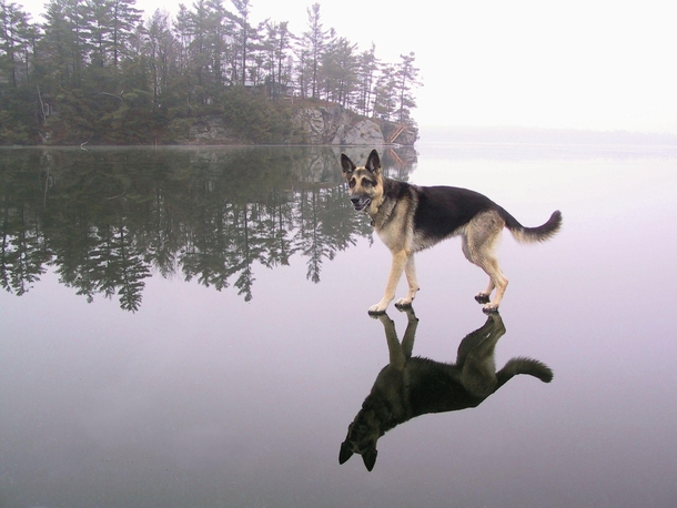 The Lord is my Shepherd xpost Pics