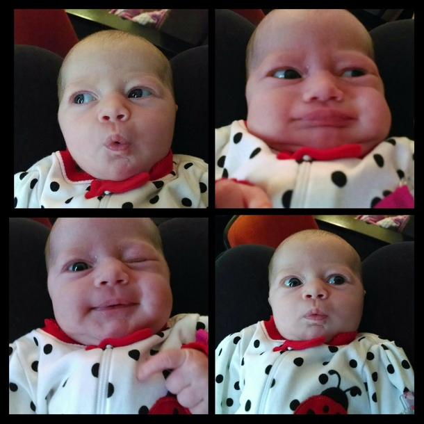 The Many Faces of Poo