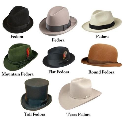 The many types of fedoras according to reddit