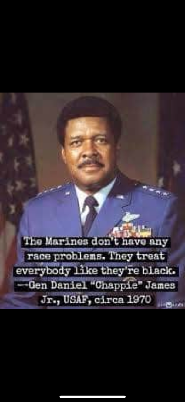 The Marines dont have any race problems They treat everybody like theyre black - General Daniel Chappie James
