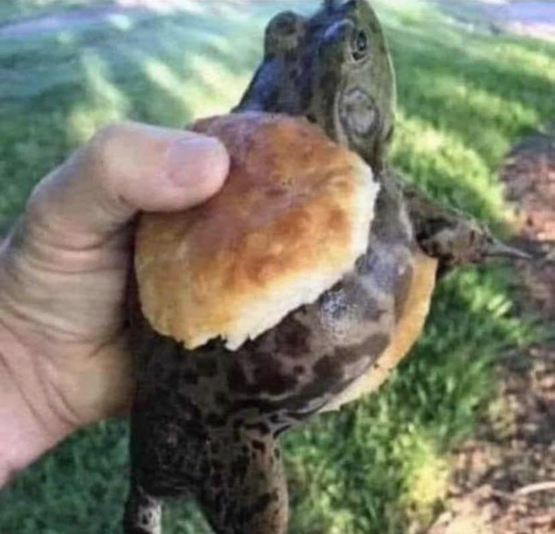 The McRibbit is back