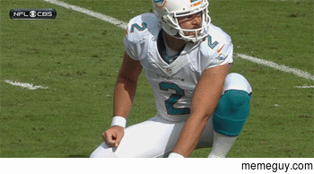 The Miami Dolphins In A Nutshell
