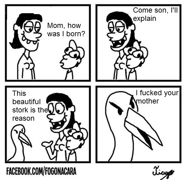 The Miracle of Life