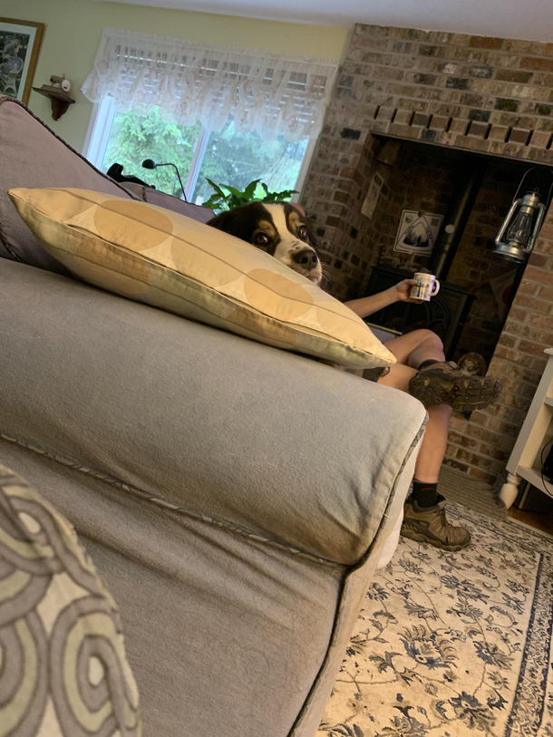 The moment Baxter realizes his caffeine habit has been discovered