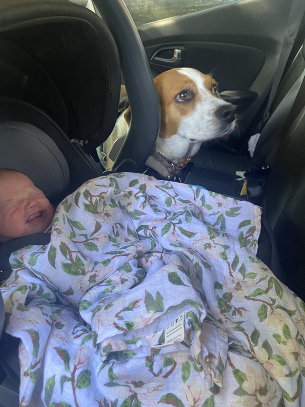 The moment she realized shes not the only baby anymore