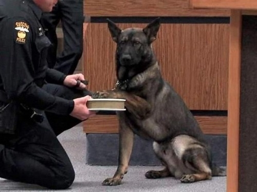 The moment you know that youre going to prison