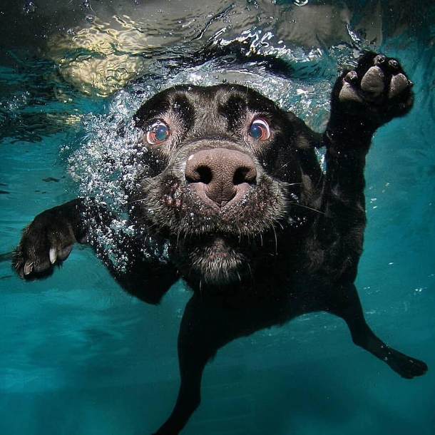 The moment you realise you cant swim