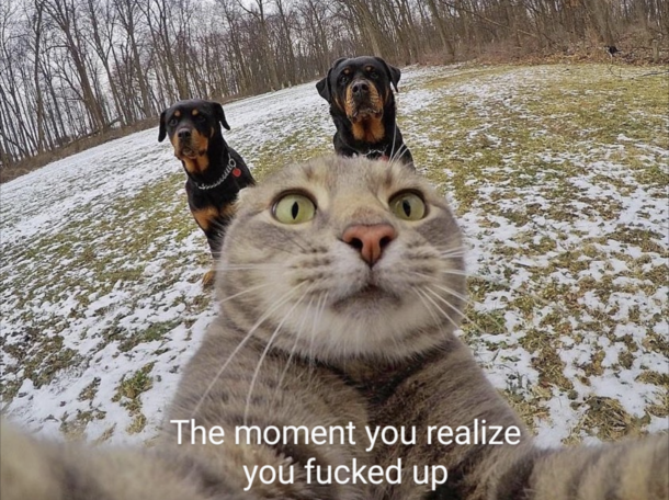 The moment you realize you fucked up