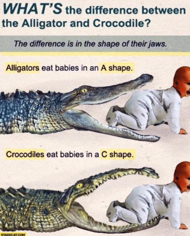 The more you know