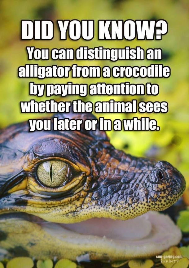 The more you know