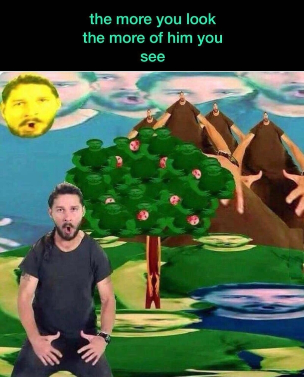 The more you look