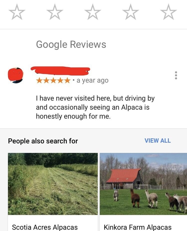 The most helpful local alpaca farm review